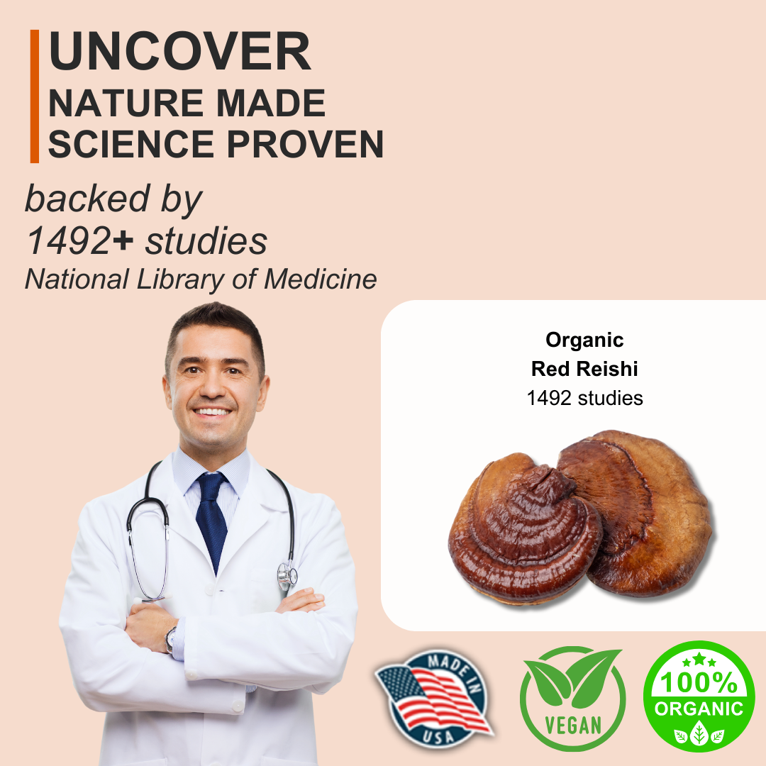 KINOKO 6 ORGANIC REISHI powder